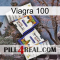 Viagra 100 12